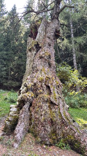_228-Südtirol
